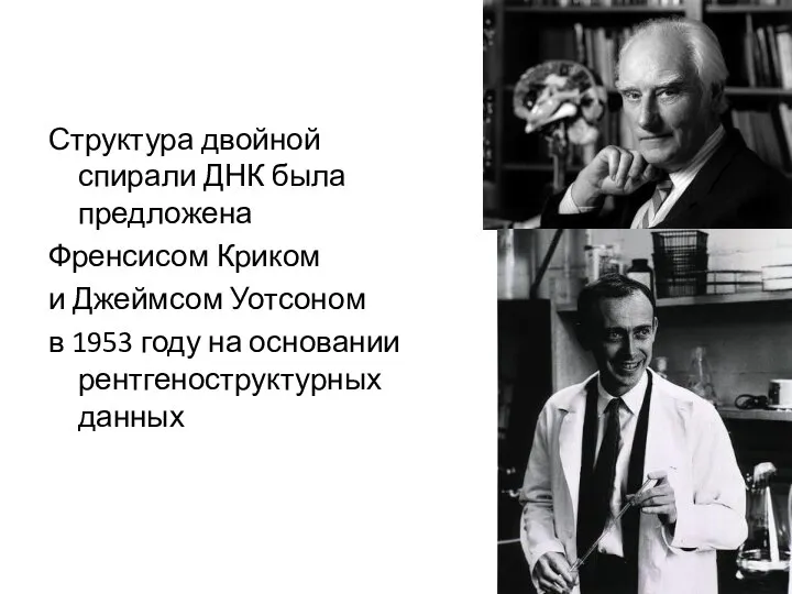 Структура двойной спирали ДНК была предложена Френсисом Криком и Джеймсом Уотсоном в