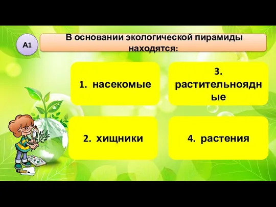 В основании экологической пирамиды находятся: А1 1. насекомые 2. хищники 3. растительноядные 4. растения