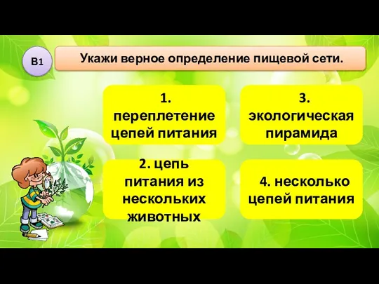 3. экологическая пирамида 4. несколько цепей питания Укажи верное определение пищевой сети.