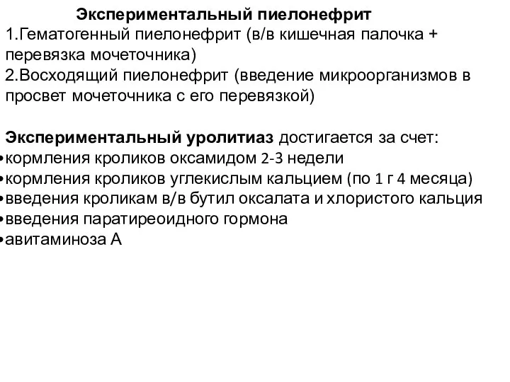 Экспериментальный пиелонефрит 1.Гематогенный пиелонефрит (в/в кишечная палочка + перевязка мочеточника) 2.Восходящий пиелонефрит