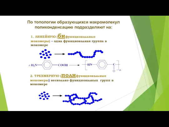 По топологии образующихся макромолекул поликонденсацию подразделяют на: 1. ЛИНЕЙНУЮ (бифункциональные мономеры) –