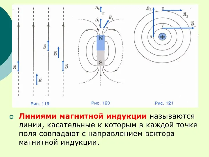 Линиями магнитной индукции называются линии, касательные к которым в каждой точке поля