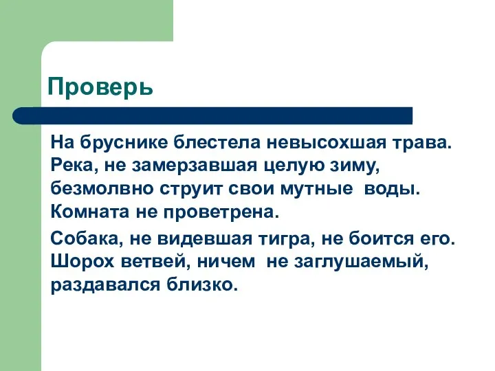 Проверь На бруснике блестела невысохшая трава. Река, не замерзавшая целую зиму, безмолвно