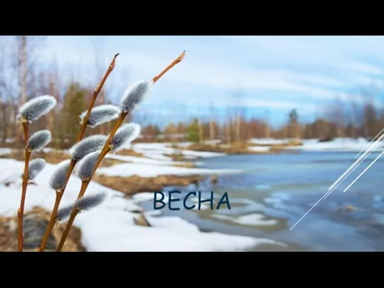 ВЕСНА