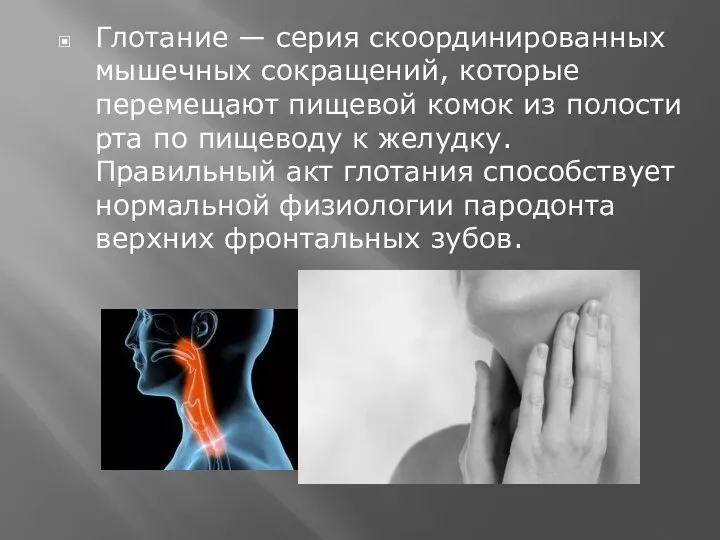 Глотание — серия скоординированных мышечных сокращений, которые перемещают пищевой комок из полости