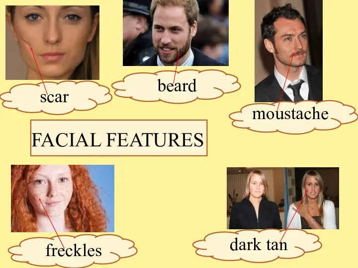 FACIAL FEATURES dark tan moustache freckles beard scar