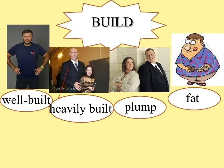 build BUILD well-built plump fat heavily built