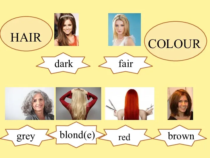 Brown fair fair dark brown grey blond(e) red Hair Hair HAIR COLOUR