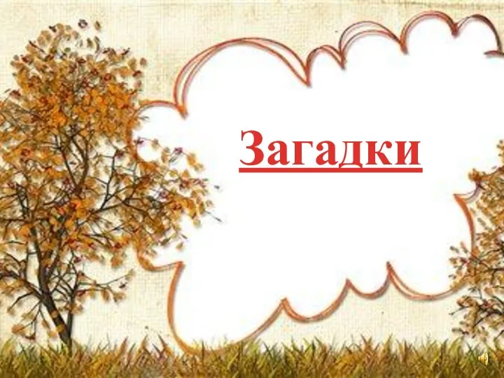 Загадки