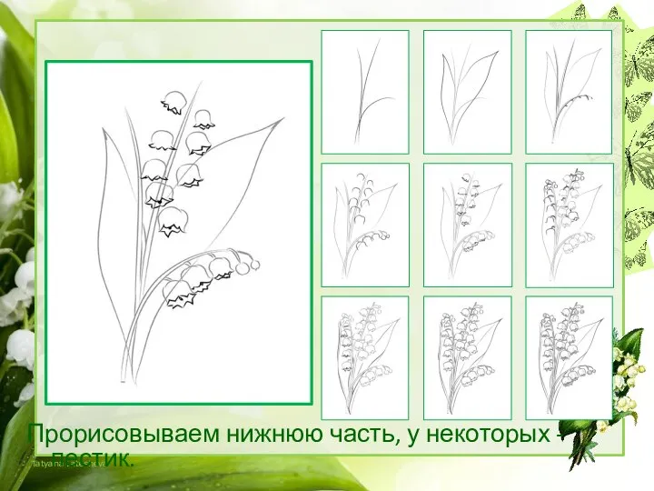 Прорисовываем нижнюю часть, у некоторых - пестик.