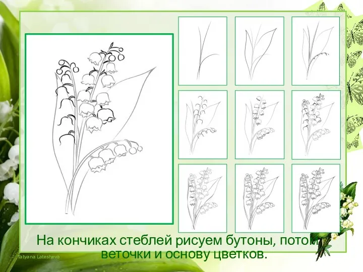 На кончиках стеблей рисуем бутоны, потом веточки и основу цветков.