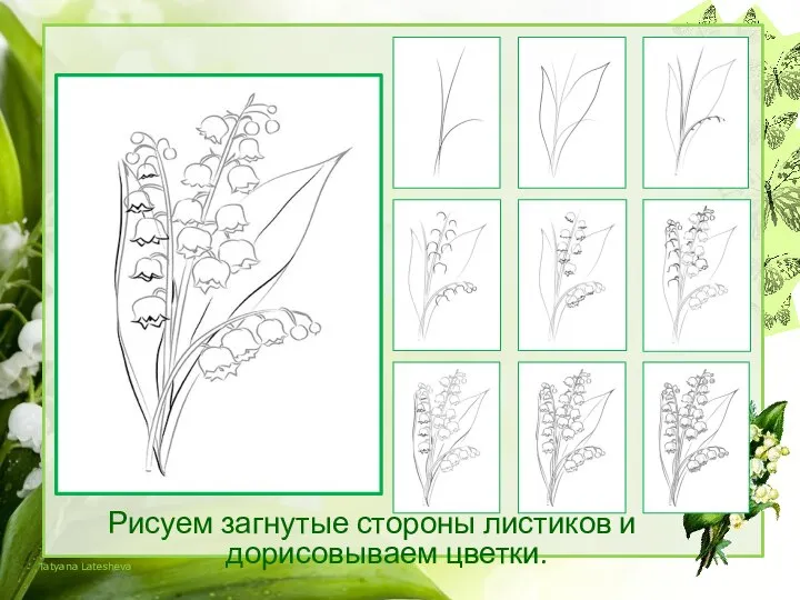 Рисуем загнутые стороны листиков и дорисовываем цветки.