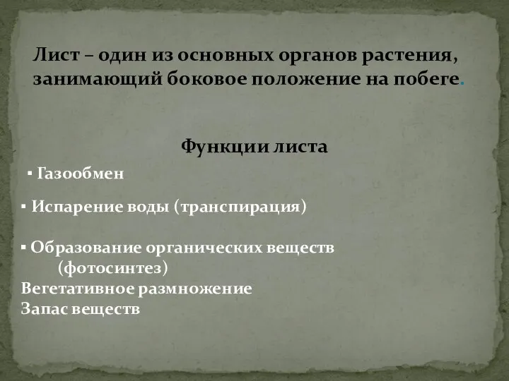 Лист – один из основных органов растения, занимающий боковое положение на побеге.