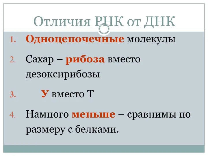 Отличия РНК от ДНК Одноцепочечные молекулы Сахар – рибоза вместо дезоксирибозы У