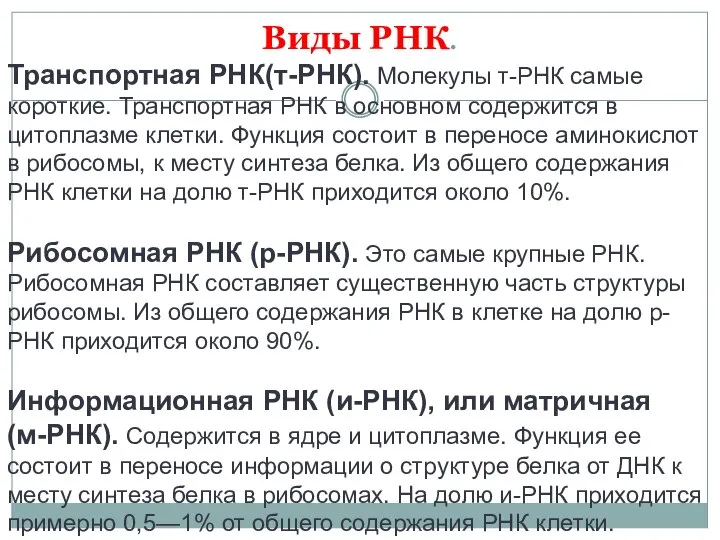 Виды РНК. Транспортная РНК(т-РНК). Молекулы т-РНК самые короткие. Транспортная РНК в основном