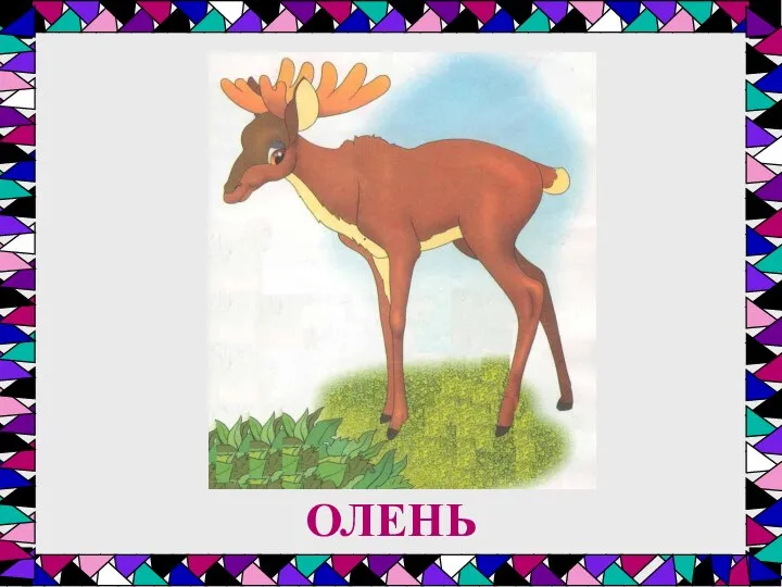 ОЛЕНЬ