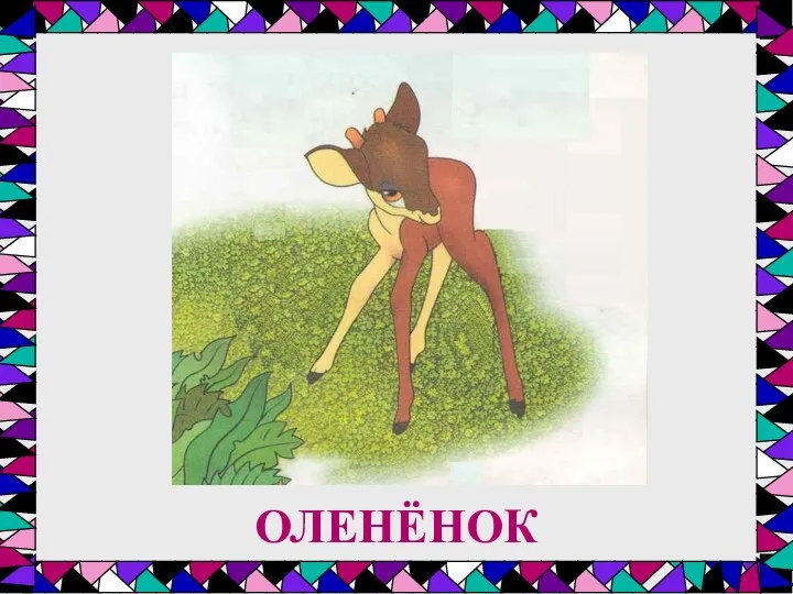 ОЛЕНЁНОК