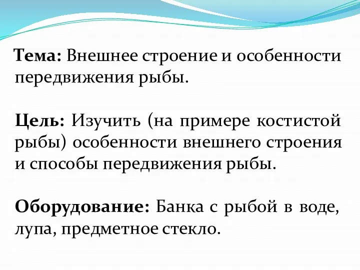 Тема: Внешнее строение и особенности передвижения рыбы. Цель: Изучить (на примере костистой