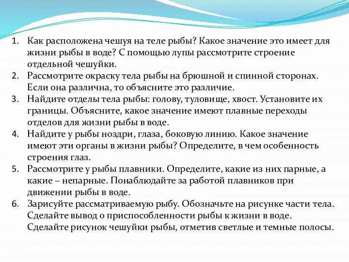 Как расположена чешуя на теле рыбы? Какое значение это имеет для жизни