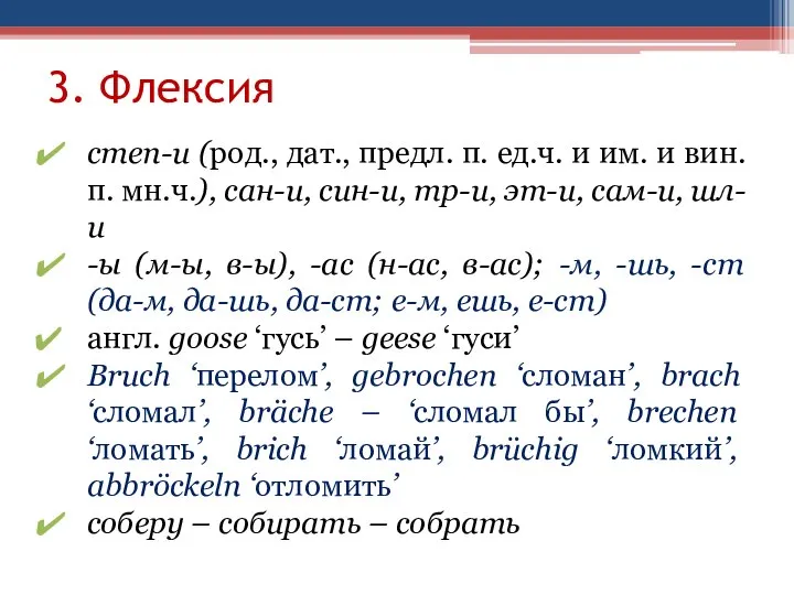 3. Флексия степ-и (род., дат., предл. п. ед.ч. и им. и вин.