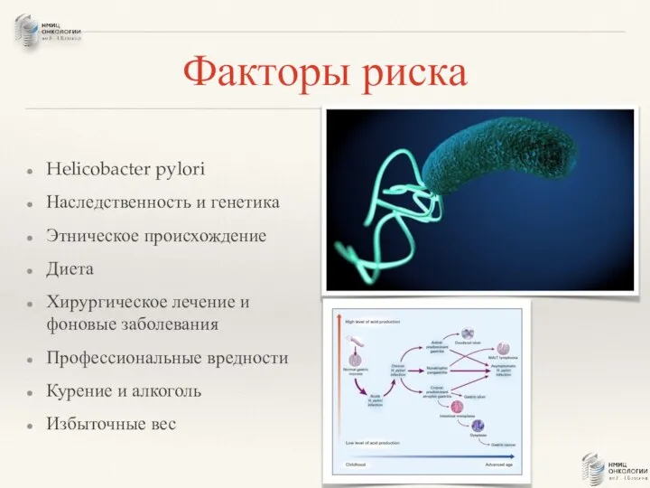 Факторы риска Helicobacter pylori Наследственность и генетика Этническое происхождение Диета Хирургическое лечение