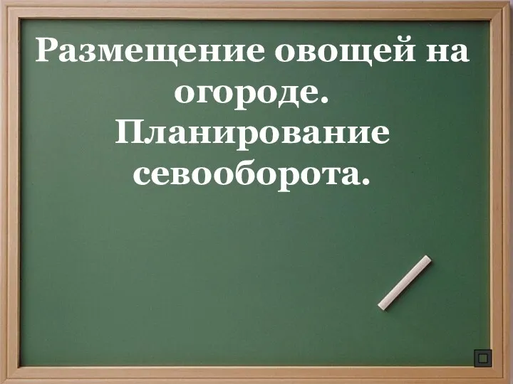 Размещение овощей на огороде. Планирование севооборота.