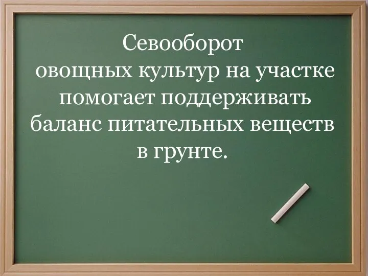 Севооборот овощных культур на участке помогает поддерживать баланс питательных веществ в грунте.