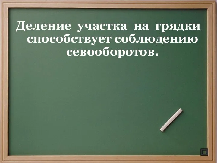 Деление участка на грядки способствует соблюдению севооборотов.