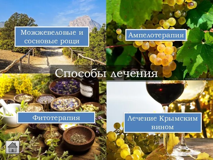 Лечение Крымским вином Можжевеловые и сосновые рощи Фитотерапия Способы лечения Ампелотерапия