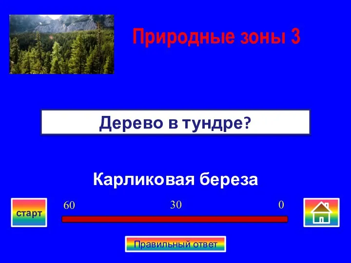 Карликовая береза Дерево в тундре? Природные зоны 3 0 30 60 старт Правильный ответ