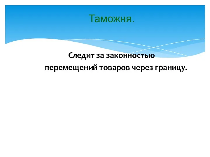 Таможня. Следит за законностью перемещений товаров через границу.