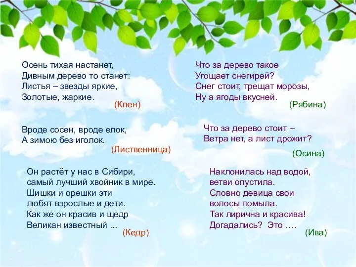 Осень тихая настанет, Дивным дерево то станет: Листья – звезды яркие, Золотые,