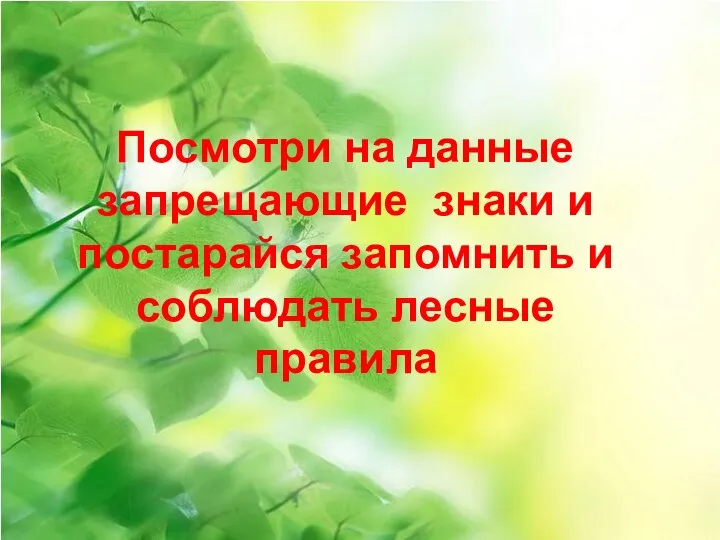 Посмотри на данные запрещающие знаки и постарайся запомнить и соблюдать лесные правила