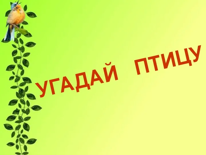 УГАДАЙ ПТИЦУ