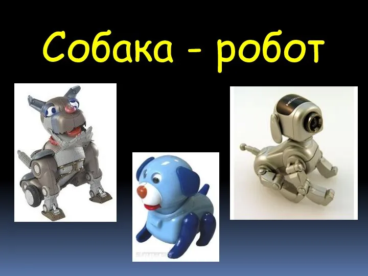 Собака - робот