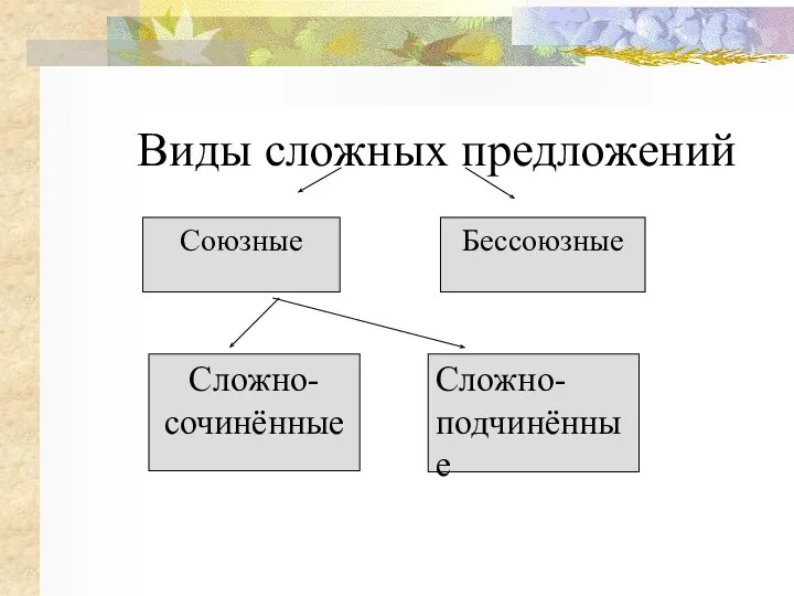 Виды сложных предложений Союзные Сложно Бессоюзные Сложно- сочинённые Сложно- подчинённые