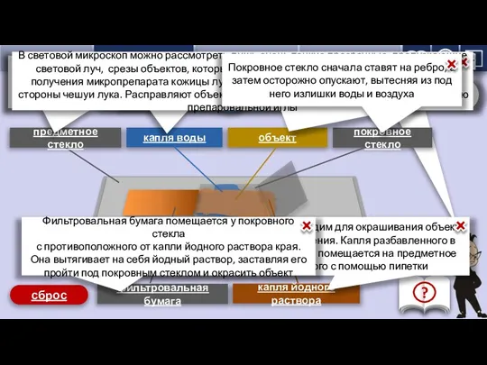 устройство микроскопа приготовление микропрепарата 1 предметное стекло 2 капля воды 3 объект