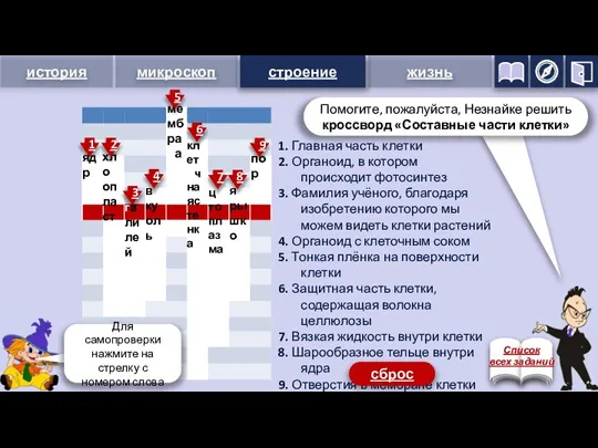 строение ядро хлоропласт галилей вакуоль мембрана клеточнаястенка цитоплазма ядрышко поры 1 2