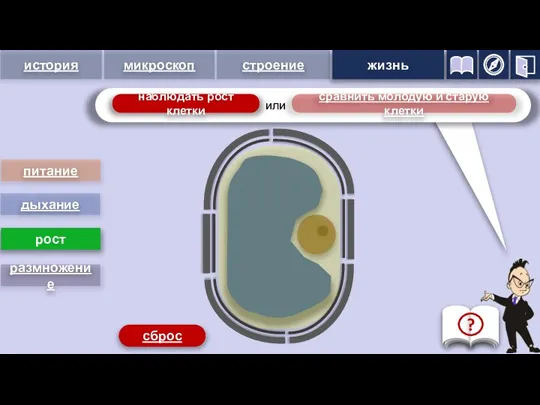питание дыхание рост размножение сравнить молодую и старую клетки пуск сброс жизнь