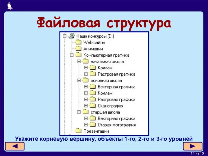 Файловая структура Укажите корневую вершину, объекты 1-го, 2-го и 3-го уровней