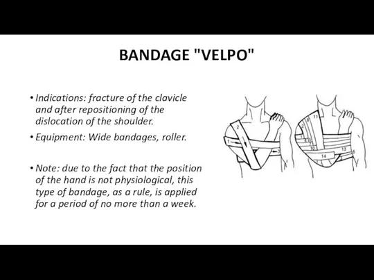 BANDAGE "VELPO" Indications: fracture of the clavicle and after repositioning of the