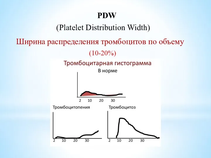 PDW (Platelet Distribution Width) Ширина распределения тромбоцитов по объему (10-20%)