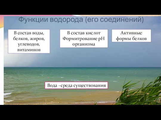 Функции водорода (его соединений) В состав воды, белков, жиров, углеводов, витаминов В