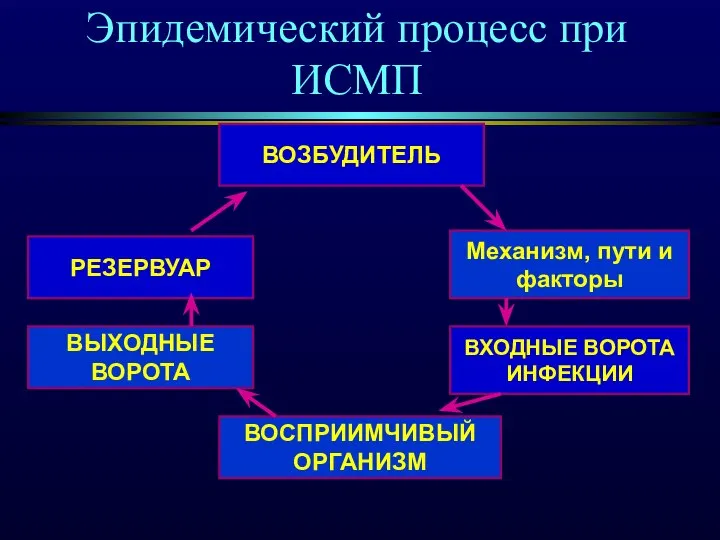 Эпидемический процесс при ИСМП ВОЗБУДИТЕЛЬ Механизм, пути и факторы ВХОДНЫЕ ВОРОТА ИНФЕКЦИИ