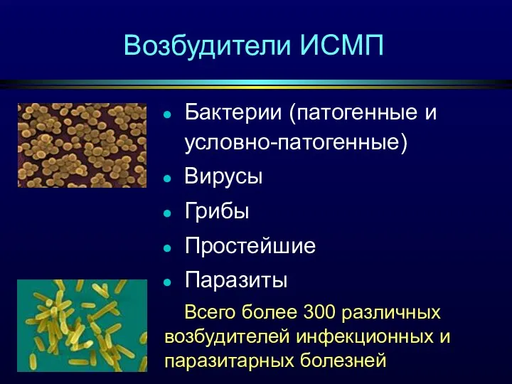 Возбудители ИСМП Бактерии (патогенные и условно-патогенные) Вирусы Грибы Простейшие Паразиты Всего более