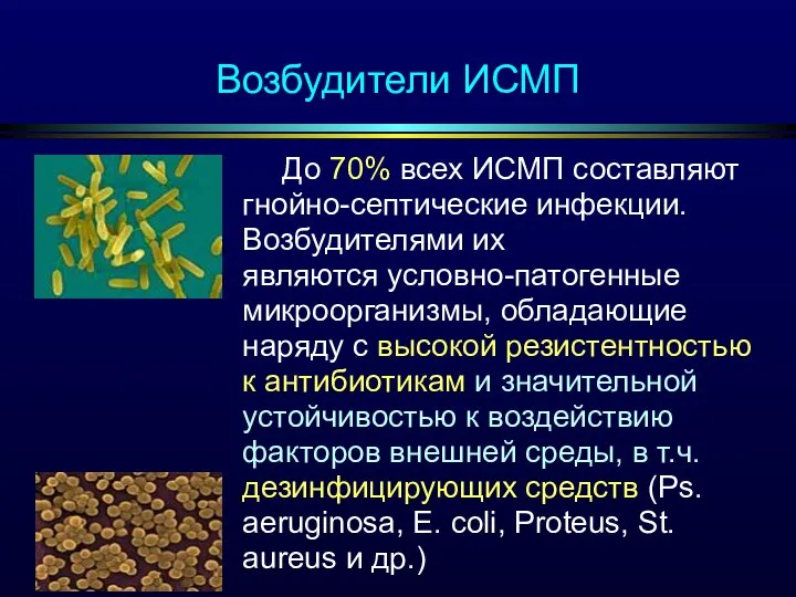 Возбудители ИСМП До 70% всех ИСМП составляют гнойно-септические инфекции. Возбудителями их являются