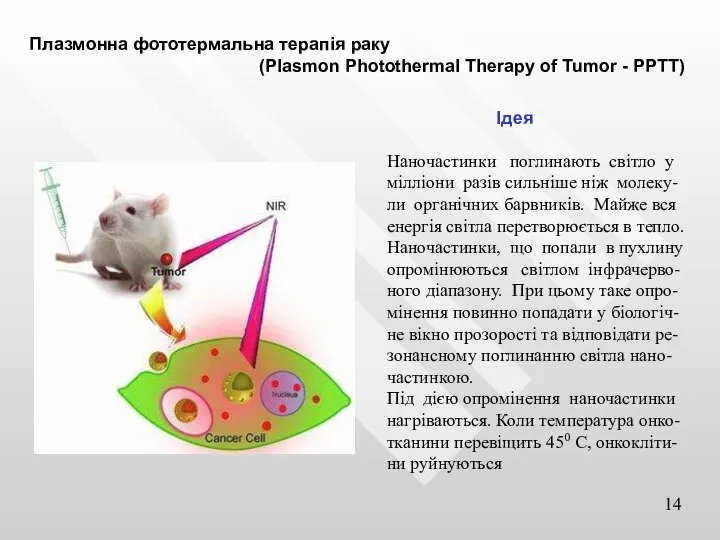 Плазмонна фототермальна терапія раку (Plasmon Photothermal Therapy of Tumor - PPTT) Ідея