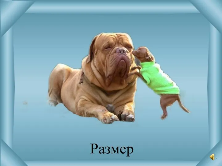 Размер