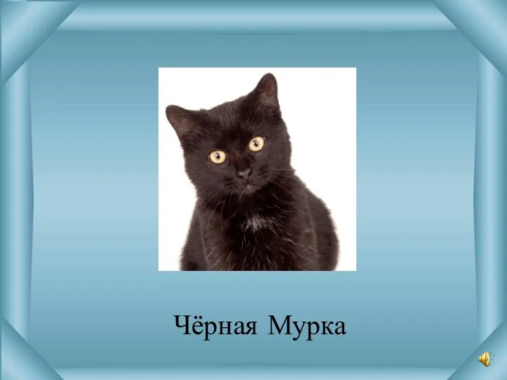 Чёрная Мурка