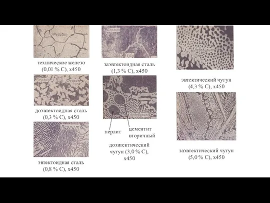 техническое железо (0,01 % С), х450 доэвтектоидная сталь (0,3 % С), х450